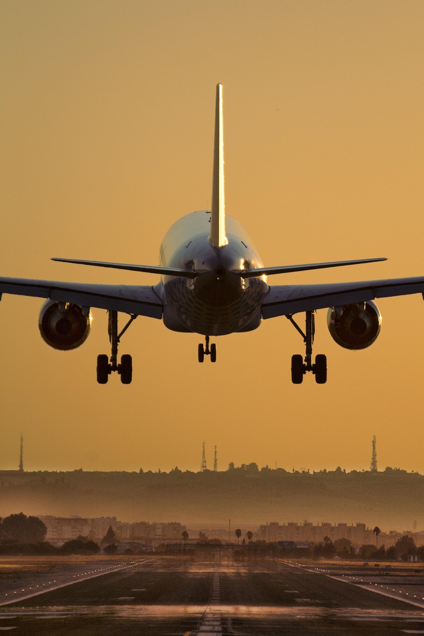 fly, air, sky, travel, transportation, flight, transport, tourism, nature, summer, holiday, trip, airplane, plane, vacation, high, hot, color, business, brown plane, brown airplane